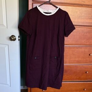 LOFT Burgundy Dress with White Ruffle Collar NWOT